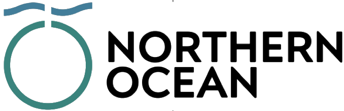Northern Ocean Ltd logo